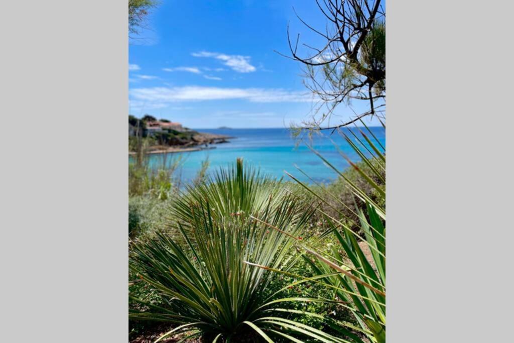 Apartment Portissol T1 Rdj Clim Parking Privatif 300m Sanary-sur-Mer