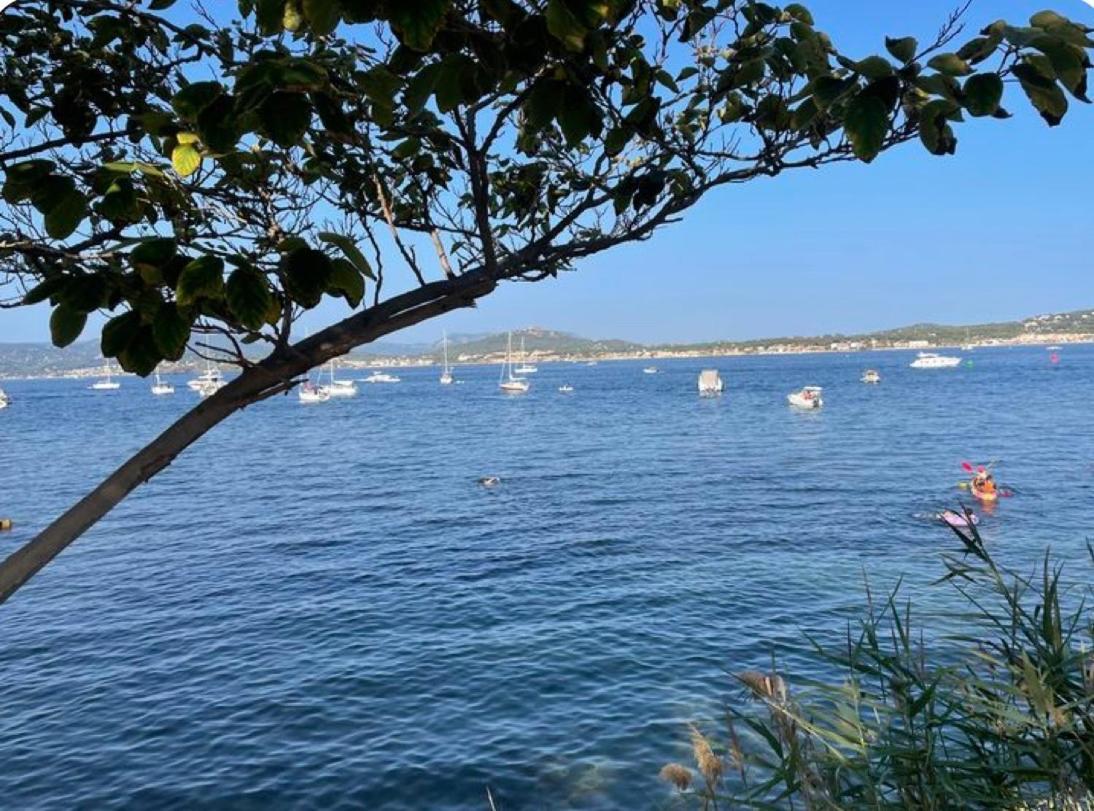 Portissol T1 Rdj Clim Parking Privatif 300m Apartment Sanary-sur-Mer