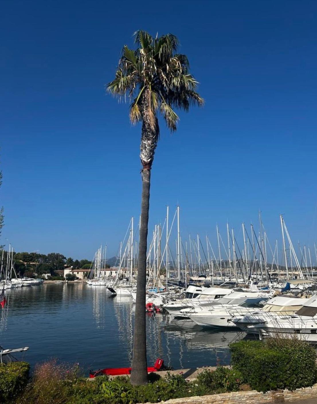 Apartment Portissol T1 Rdj Clim Parking Privatif 300m *